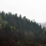 Casa Sul Fiume-zona Limone Piemonte * Vernante