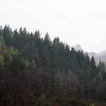 شقة Casa Sul Fiume-zona Limone Piemonte